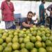 মৌসুমের শুরুতেই রংপুরের বাজার সয়লাব হয়ে গেছে হাঁড়িভাঙ্গা আম