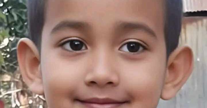 তজুমদ্দিনে পানিতে ডুবে যুবলীগ নেতার শিশু পুত্রের মৃত্যু