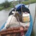 পটুয়াখালীতে নৌকা থেকে জেলের লাশ উদ্ধার