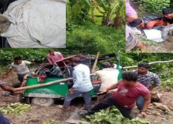 বাঁশখালীতে সড়ক দুর্ঘটনায় নিহত ১ আহত ২