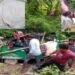 বাঁশখালীতে সড়ক দুর্ঘটনায় নিহত ১ আহত ২