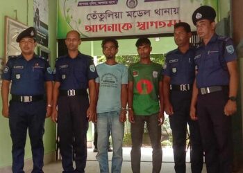 পুলিশের চিরুনী অভিযানে গরু উদ্ধার, চুরির দায়ে দুই ভাই গ্রেফতার