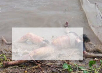 রাজশাহী বাঘায় পদ্মায় পুলিশ লাশ উদ্ধারে গিয়ে দেখেন নেই