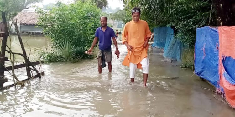 পটুয়াখালীতে জলাবদ্ধতায় একাকার, বৃস্টি কমলেও কমেনি পানি