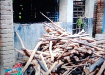 মামলা তুলে না নেয়ায় বসুন্দিয়ায় ঘের ব্যবসায়ীর বাড়িতে অগ্নি সংযোগ 