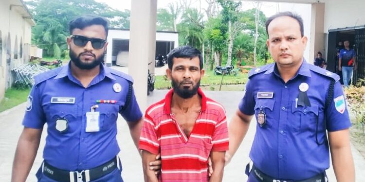 রামপালে গাঁজার ডিলার বাবু মীর গ্রেফতার 