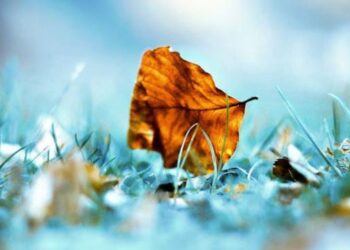 রিজিকের ফায়সালা আসমানে হয়,জমিনে নয়!