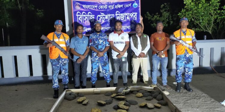 পটুয়াখালীতে যাত্রীবাহী বাস থেকে ৬২টি কচ্ছপ উদ্ধার করেছে কোস্টগার্ড