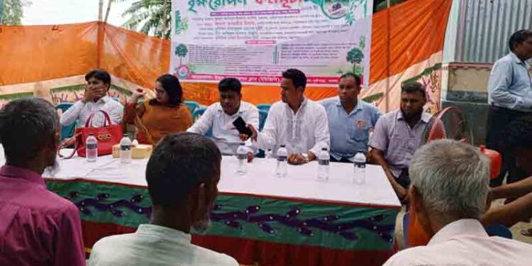 সিরাজগঞ্জে ৩ কিলোমিটার সড়কে বৃক্ষ-রোপন