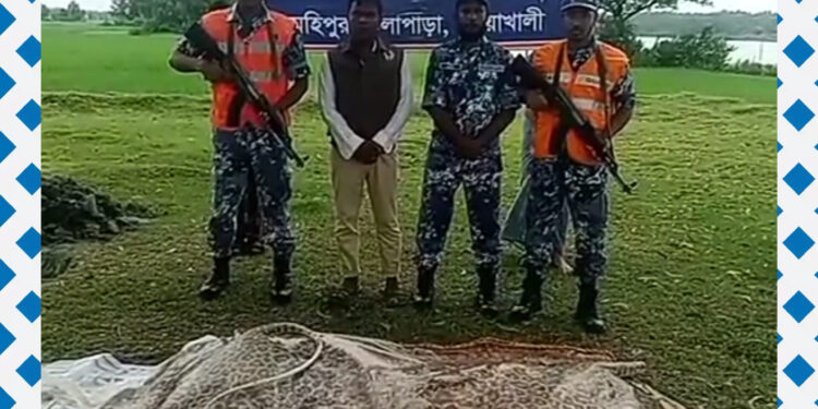 পটুয়াখালীতে বিরল দুটি শাপলাপাতা মাছ জব্দ করেছে কোস্টগার্ড