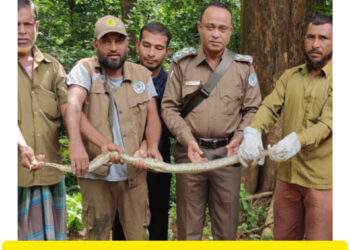কাপ্তাইয়ে জাতীয় উদ্যানের অজগর সাপ অবমুক্ত