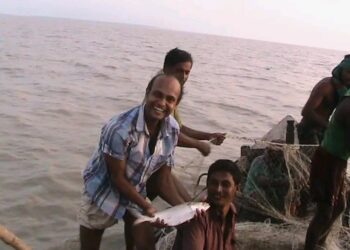 নিষেধাজ্ঞার আগেই ঝড়-বৃষ্টি উপেক্ষা করে সাগরে ছুটছেন জেলেরা, ধরা পড়ছে ঝাঁকে ঝাঁকে ইলিশ