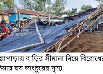 উল্লাপাড়ায় বড় ভাইয়ের আঘাতে ছোট ভাই খুন ঘাতক পলাতক