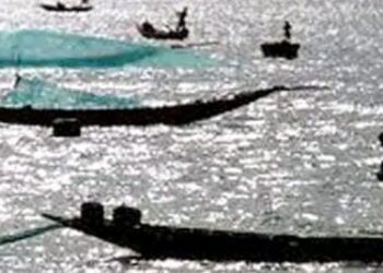 নিষিদ্ধ সময়ে রাতে উম্মুক্ত ভোলার মেঘনা-তেঁতুলিয়া, ইলিশ উৎসবে জেলেরা