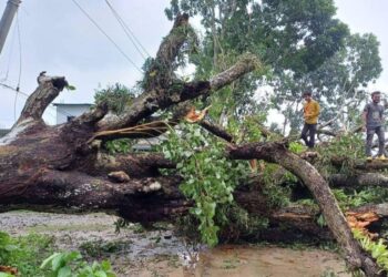 ভাঙ্গায় ঘূর্ণিঝড়ের তাণ্ডবে নিহত ১