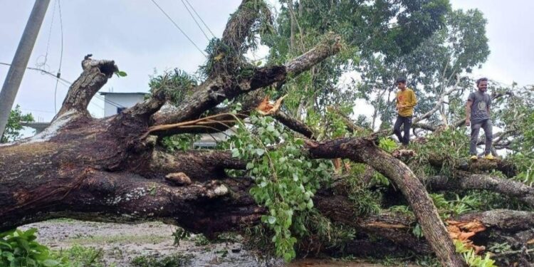 ভাঙ্গায় ঘূর্ণিঝড়ের তাণ্ডবে নিহত ১