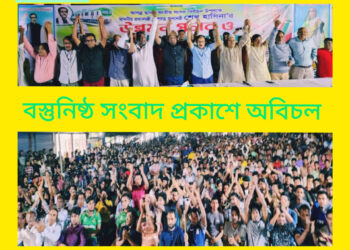 উল্লাপাড়ায় আ’লীগের মনোনয়ন প্রত্যাশী মেয়র নজরুলের উদ্যোগে প্রধানমন্ত্রীর উন্নয়ন সমাবেশ অনুষ্ঠিত 