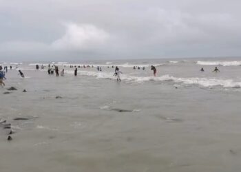 কুয়াকাটা সৈকত থেকে অজ্ঞাত ব্যাক্তির মরদেহ উদ্ধার