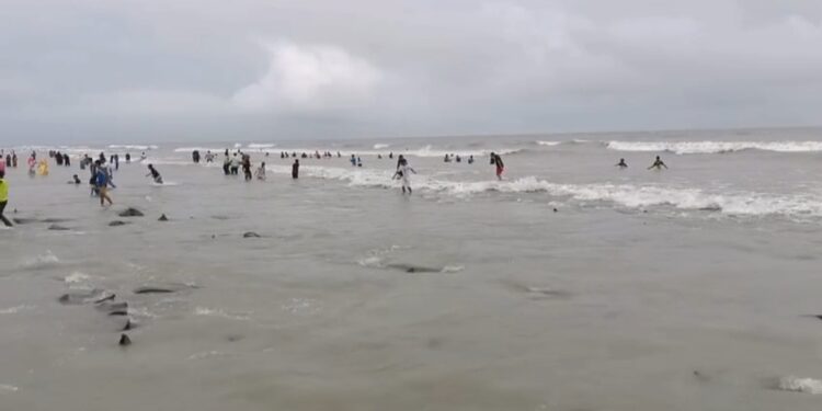 কুয়াকাটা সৈকত থেকে অজ্ঞাত ব্যাক্তির মরদেহ উদ্ধার