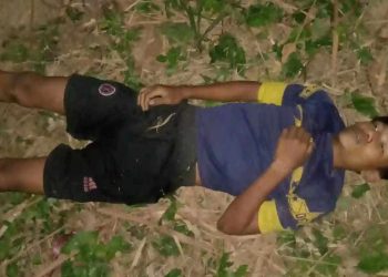 কাপ্তাইয়ে বন্য হাতির আক্রমণে প্রাণ গেল বাঙ্গালহালিয়া উচ্চ বিদ্যালয় শিক্ষার্থীর