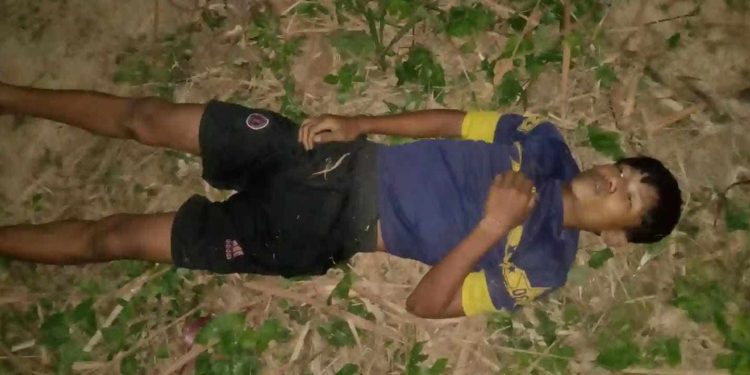 কাপ্তাইয়ে বন্য হাতির আক্রমণে প্রাণ গেল বাঙ্গালহালিয়া উচ্চ বিদ্যালয় শিক্ষার্থীর