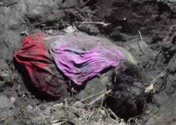 পটুয়াখালীতে অজ্ঞাত নারীর মরদেহ উদ্ধার