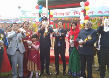 নড়াইলে যথাযোগ্য মর্যাদায় মহান  বিজয় দিবস উদযাপিত 