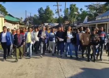 নেত্রকোনা জেলা বিএনপির লিফলেট বিতরণ ও মিছিল