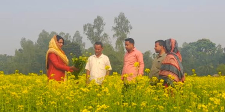 সরিষার হলুদ ফুলে সাজানো পলাশবাড়ীর বিভিন্ন অঞ্চল যেন গায়ে হলুদের সমারোহr