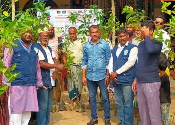 আন্তর্জাতিক মানবাধিকার দিবস উপলক্ষে শার্শায় আলোচনা সভা ও গাছের চারা বিতরণ 