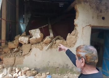 বাঁশখালীতে বসতবাড়িতে হাতির তান্ডব 