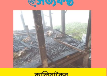 কালিয়াকৈর আগুনে পুড়লো ঘর সহ ২৬টি ছাগল