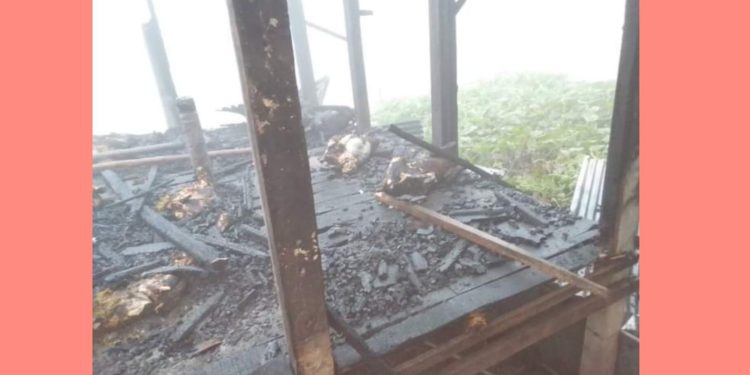 কালিয়াকৈর আগুনে পুড়লো ঘর সহ ২৬টি ছাগল