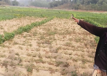 বাঁশখালীতে ক্ষেতখোলা নিয়ে পানি সংকটে কৃষক পরিবার  