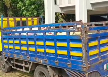 পটুয়াখালীতে মাদরাসার শিক্ষার্থীদের বিনামূল্যের পাঠ্যবই পাচারকালে জব্দ