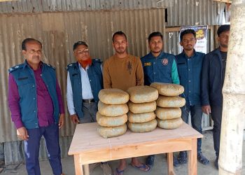 কালিয়ায় মাদকদ্রব্য নিয়ন্ত্রণ অধিদপ্তরের অভিযানে ২৪ কেজি গাঁজাসহ আটক ১