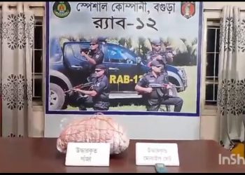 বগুড়ায় ৫ কেজি গাঁজা মোটর সাইকেল সহ দুলু মিয়া গ্রেফতার 