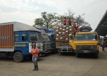বেনাপোল বন্দর দিয়ে ৯৬৭ মেট্রিক টন টিসিবির ছোলা আমদানি 