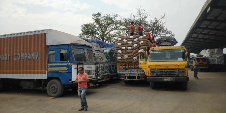 বেনাপোল বন্দর দিয়ে ৯৬৭ মেট্রিক টন টিসিবির ছোলা আমদানি
