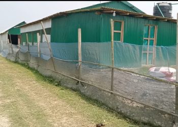 নেত্রকোণায় সরকারি গোপাট দখল করে মুরগীর খামার নির্মান