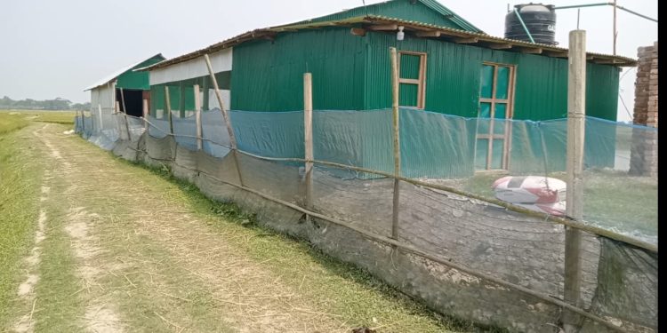 নেত্রকোণায় সরকারি গোপাট দখল করে মুরগীর খামার নির্মান