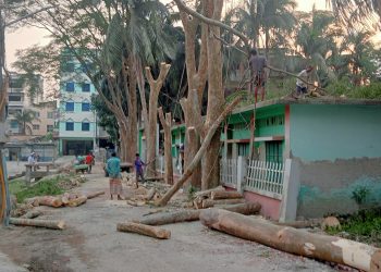 পটুয়াখালীতে গাছ কাটার ঘটনায় তদন্ত কমিটি গঠন