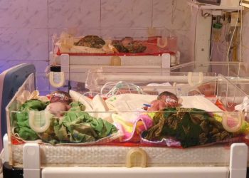 জামালপুরে একসঙ্গে চার সন্তানের জন্ম দিলেন এক নারী, হাসপাতালে তিন সন্তানের মৃত্যু