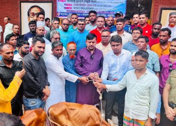 তজুমদ্দিনে জেলেদের মাঝে বকনা বাছুর বিতরণ করেন- এমপি শাওন