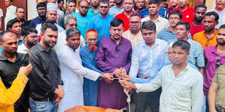 তজুমদ্দিনে জেলেদের মাঝে বকনা বাছুর বিতরণ করেন- এমপি শাওন