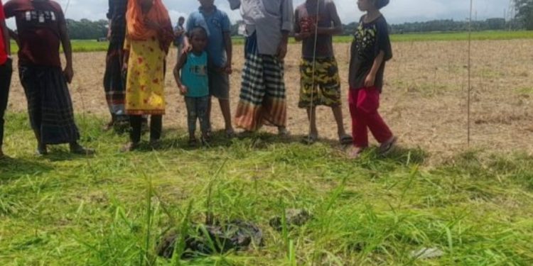  ভাঙ্গায় অর্ধ গলিত লাশ  উদ্ধার