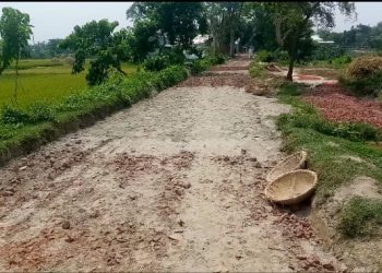 নরসিংদীতে ঠিকাদারি প্রতিষ্ঠানের বিরুদ্ধে রাস্তা নির্মাণে অনিয়মের অভিযোগ 