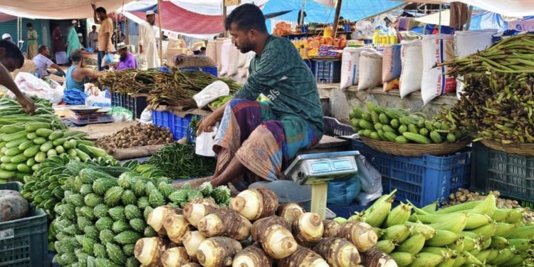 সবজি বাজারে আগুন, মাছের দামেও নাভিশ্বাস নিম্ন ও মধ্যবিত্তের