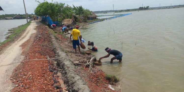 রামপালে ঘূর্ণিঝড়ে ক্ষতিগ্রস্ত রাস্তা নিজস্ব অর্থায়নে সংস্কার করলেন ব্যবসায়ী সাইফুজ্জামান