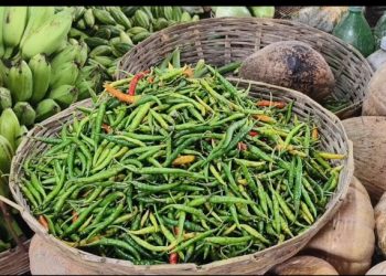 এক রাতের ব্যবধানে বাজারে কাঁচা মরিচের দাম কেজিতে ২শ টাকা বৃদ্ধি।